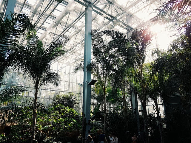 Botanical Garden That You Can Visit in Oahu