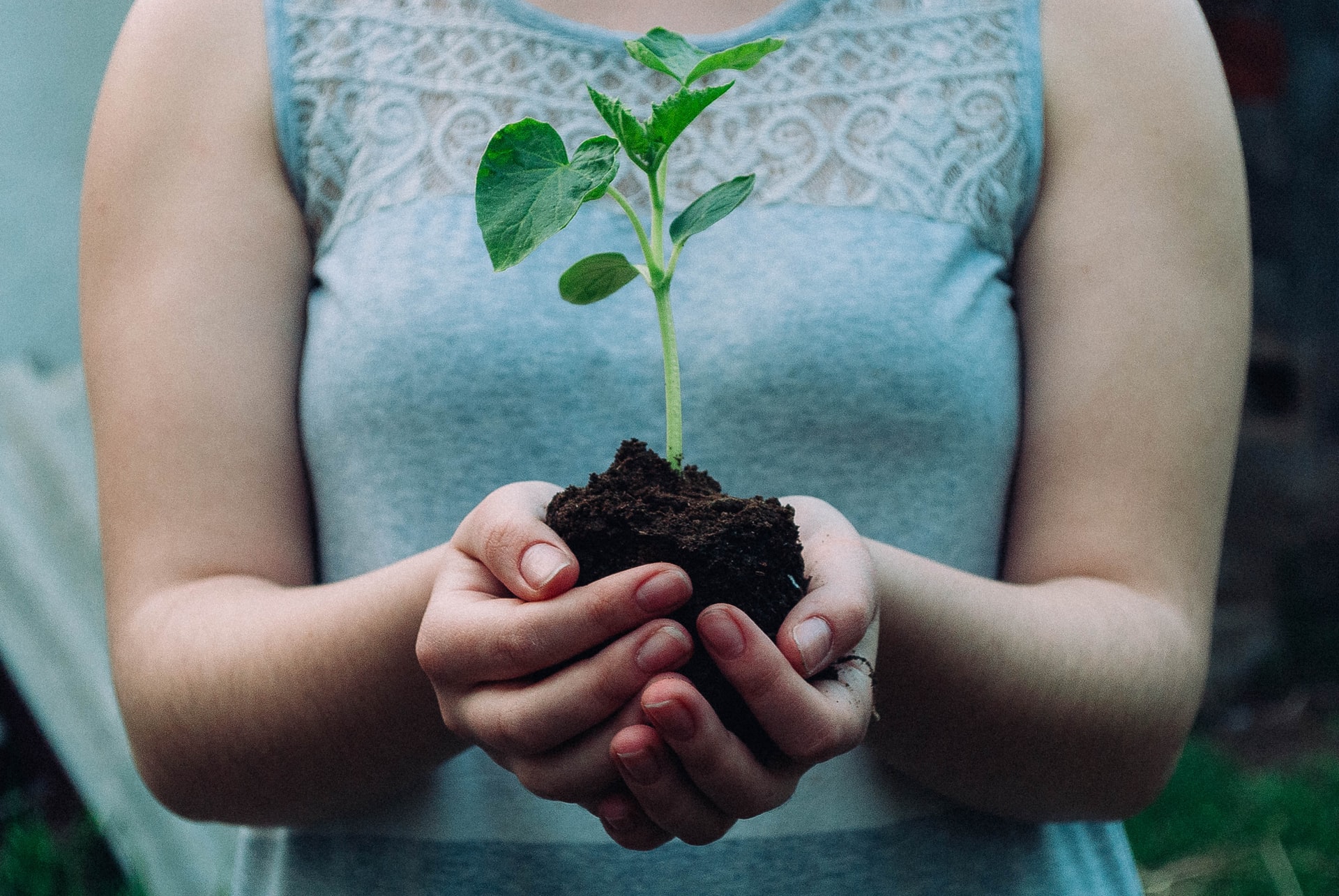 Easy Sustainable Living Tips
